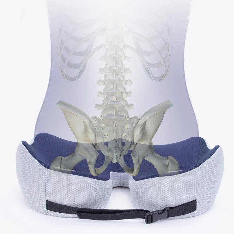 Memory Foam Sit Bone Relief Cushion Ergonomic Support Blue-1