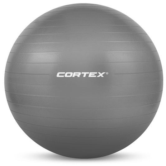 NNEDSZ Fitness Ball 55cm in Grey-0